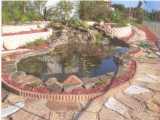 florida pond