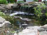 stream and falls